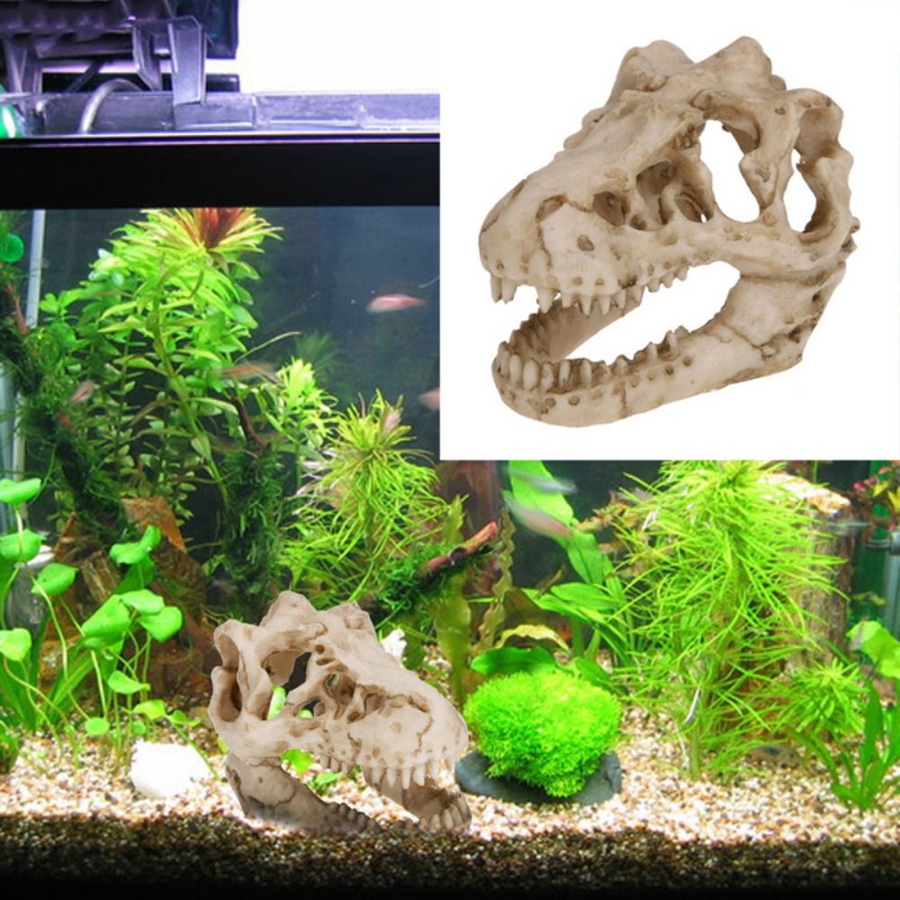 Aquarium Fish Hideout - Kreative Simulation Dinosaurier Schädel Flucht Haus