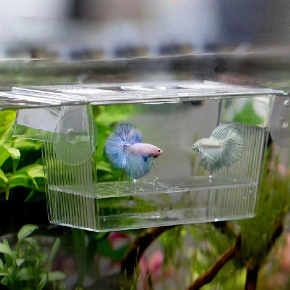 Aquarium Fish Reproduction - Kreatives Acryl-Aquarium zur Fischzucht, Brutkasten, Isolationsbox,
