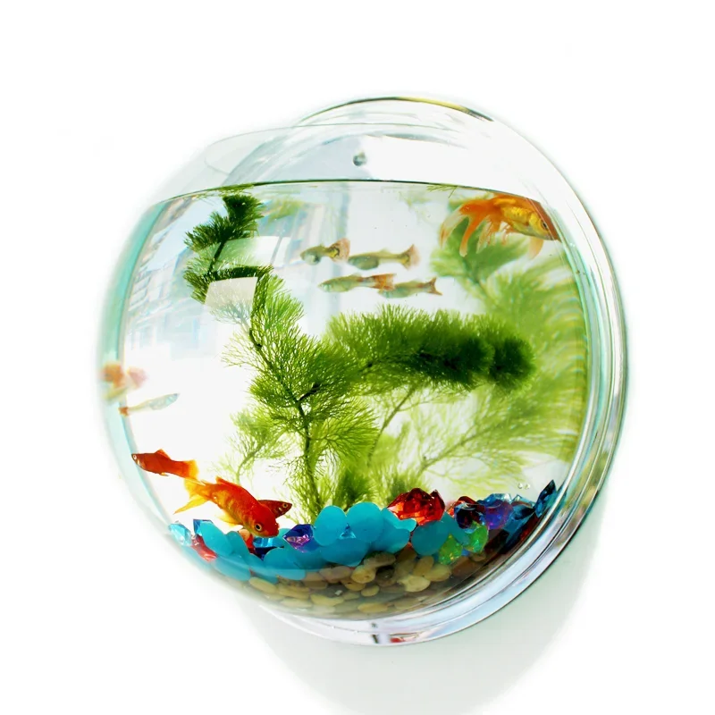 Aquarium Fish Background - Pinsjar Acryl Fischschale Wandbehang Aquarium Tank