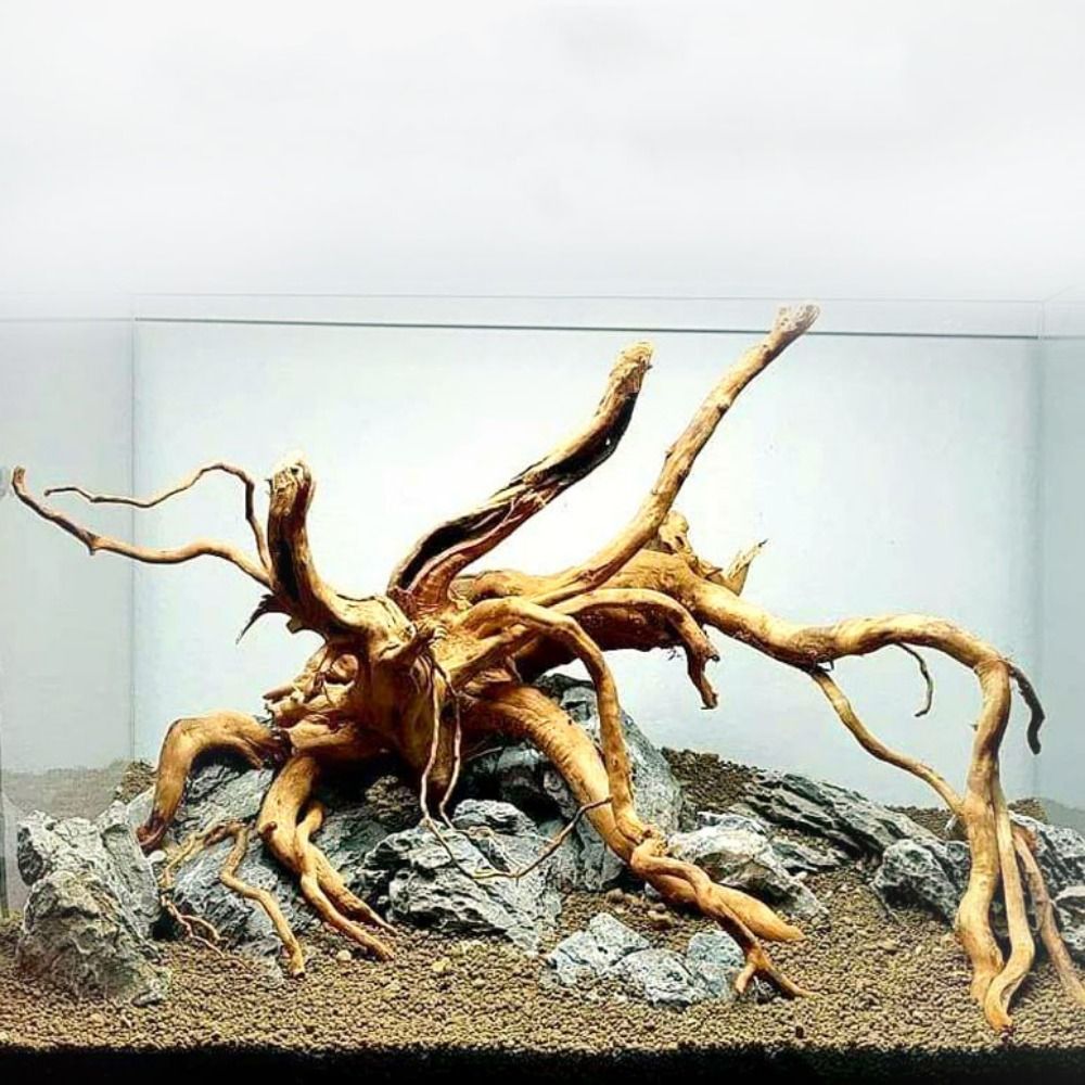 Aquarium Fish Enrichment - Natürliche Baumstamm Aquarium Dekoration Holz Kunstwerk