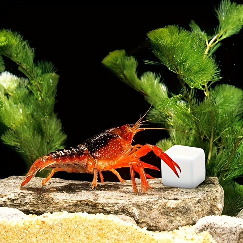 Aquarium Fish Background - 6-teiliger Aquarium-Kalziumblock, Mineralien, Aquarium-Versorgung, Krabbelwürfel für