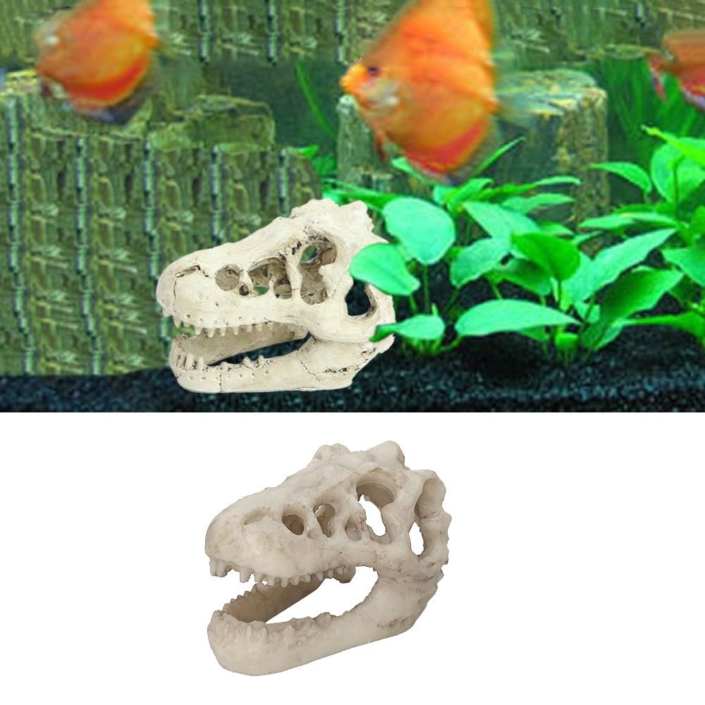 Kreative Simulation Dinosaurie – Aquarium Fish Hideout Bewertung und Preis