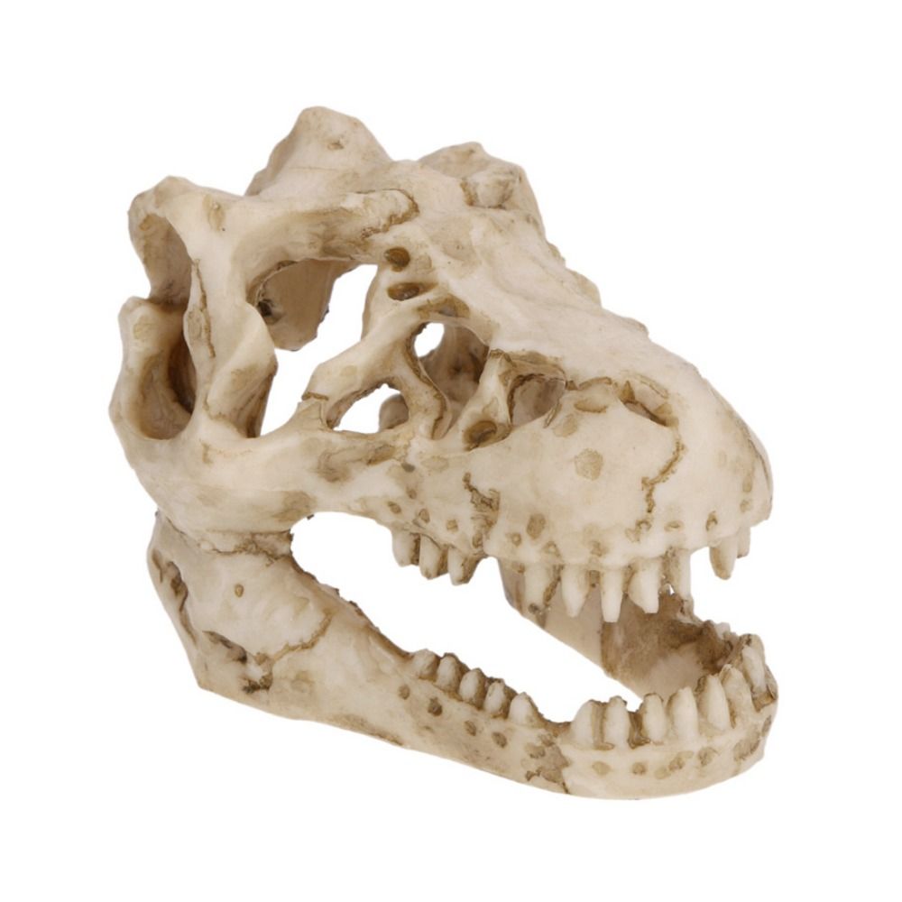 Kreative Simulation Dinosaurie – Aquarium Fish Hideout Bewertung und Preis