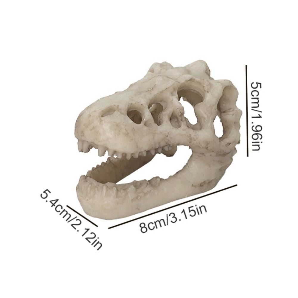 Kreative Simulation Dinosaurie – Aquarium Fish Hideout Bewertung und Preis