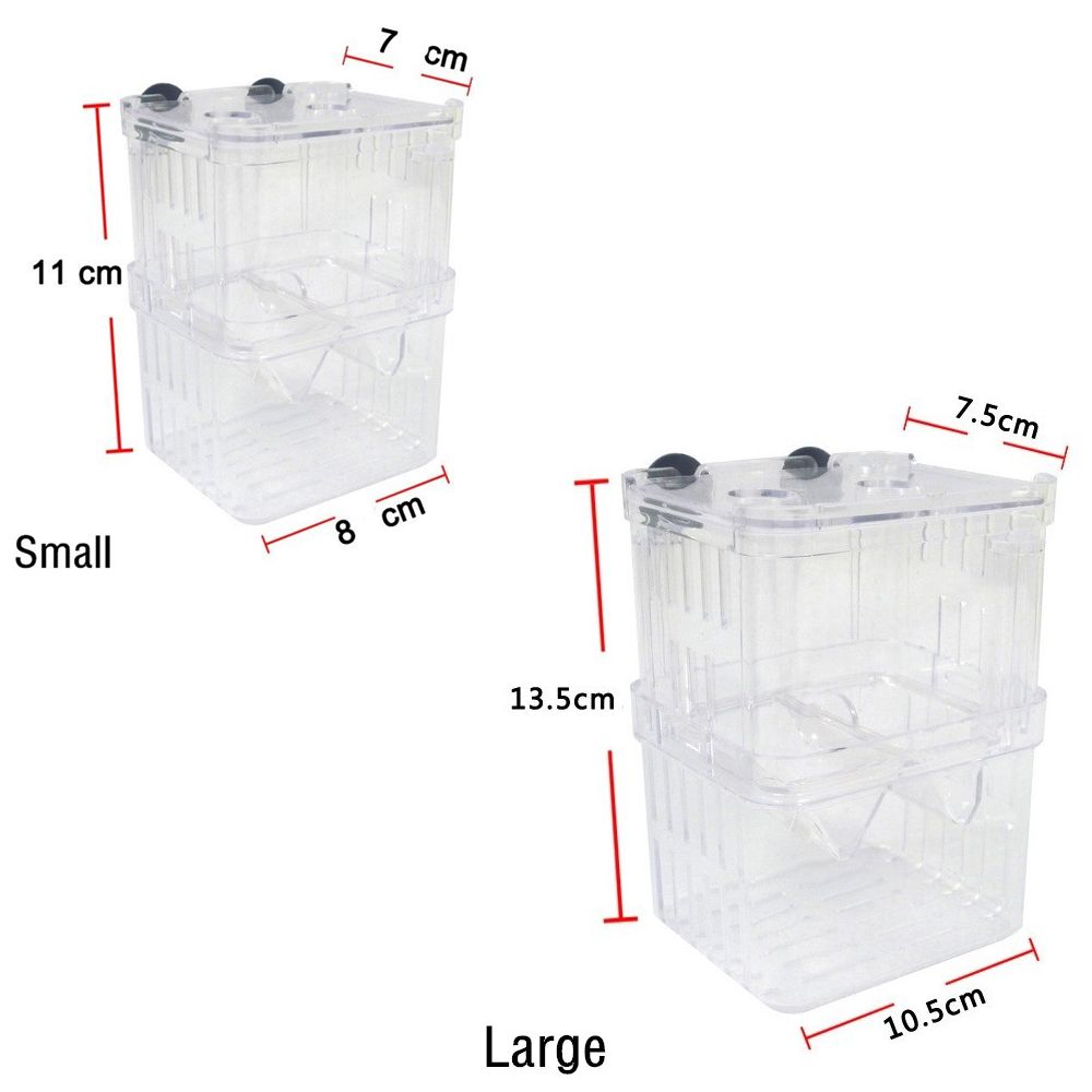 Tank Aquarium Für Baby Fische  – Aquarium Fish Reproduction Bewertung und Preis