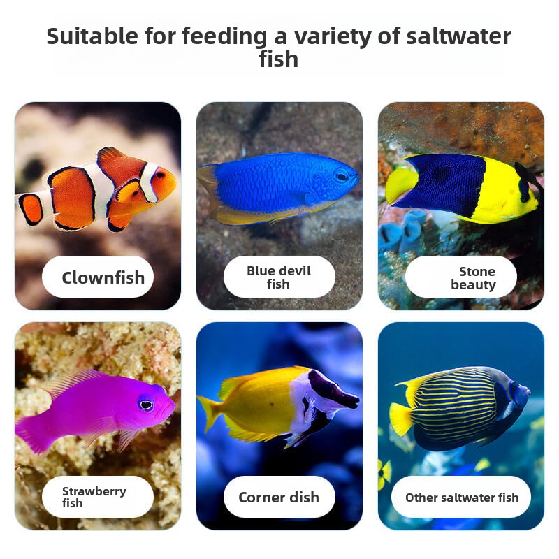 DEERA Clownfisch & Tang-Essen  – All Fish In Aquarium Bewertung und Preis