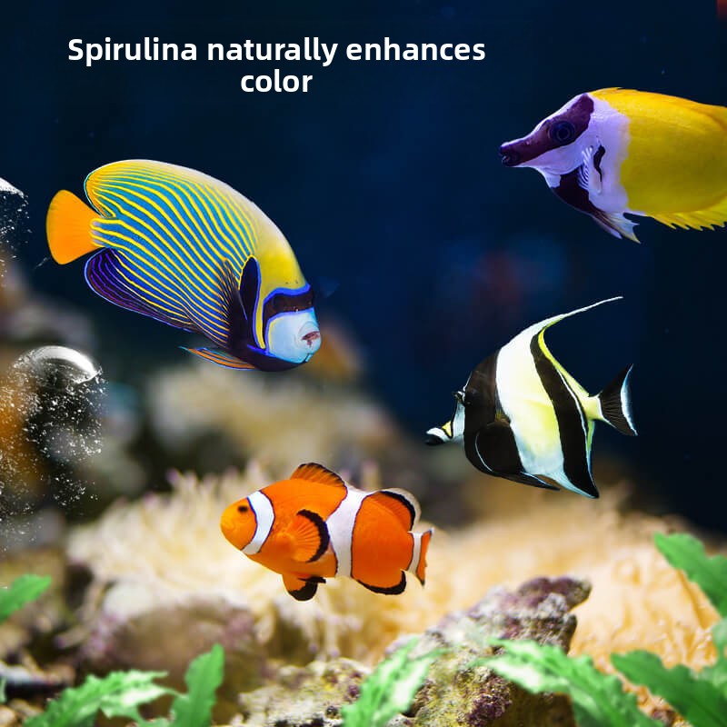 DEERA Clownfisch & Tang-Essen  – All Fish In Aquarium Bewertung und Preis