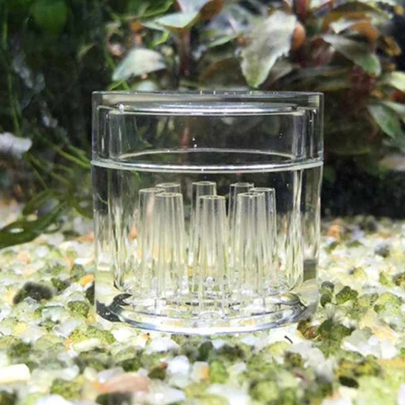 Hoch transparente Aquarium Aqu – Aquarium Fish Enrichment Bewertung und Preis