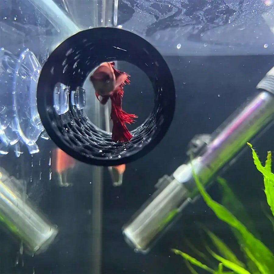 Betta-Fischversteck, hohles Ro – Aquarium Fish Hideout Bewertung und Preis
