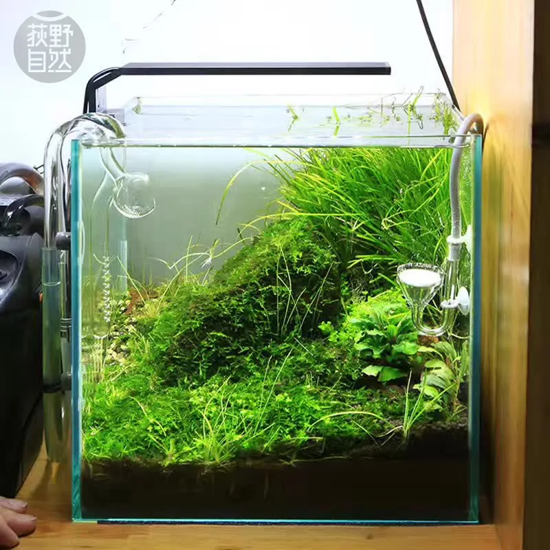 Spirituosen C-Serie ADA-Stil P – Aquarium Fish Background Bewertung und Preis