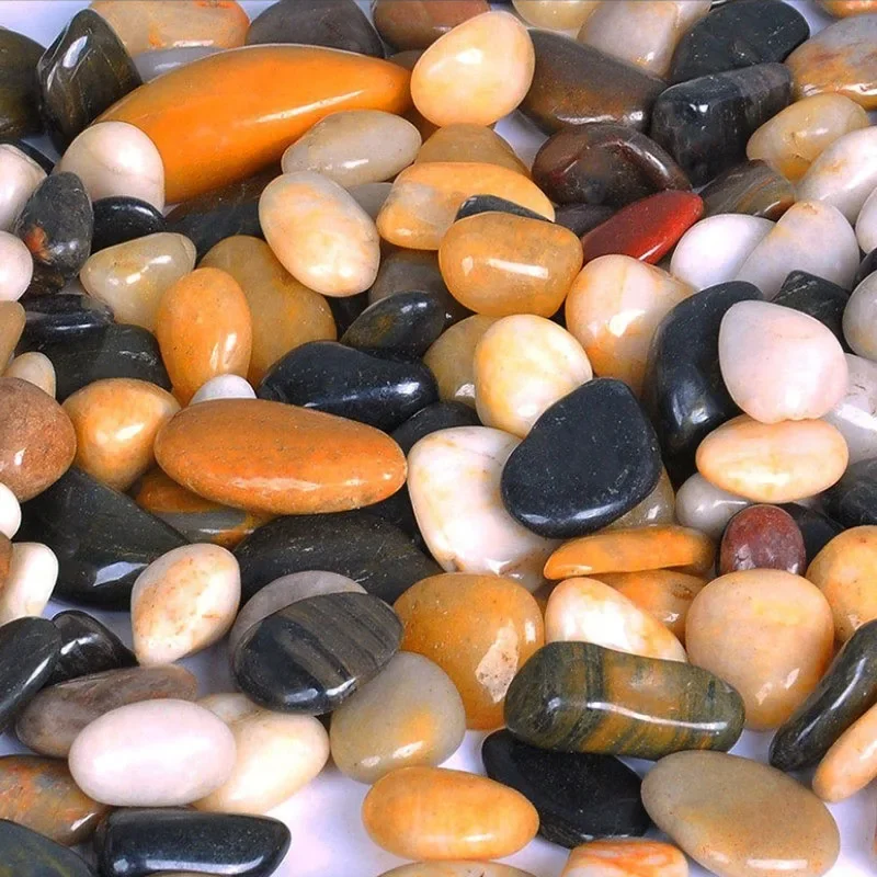 250g 500g natürliches Aquarium – Aquarium Fish Background Bewertung und Preis