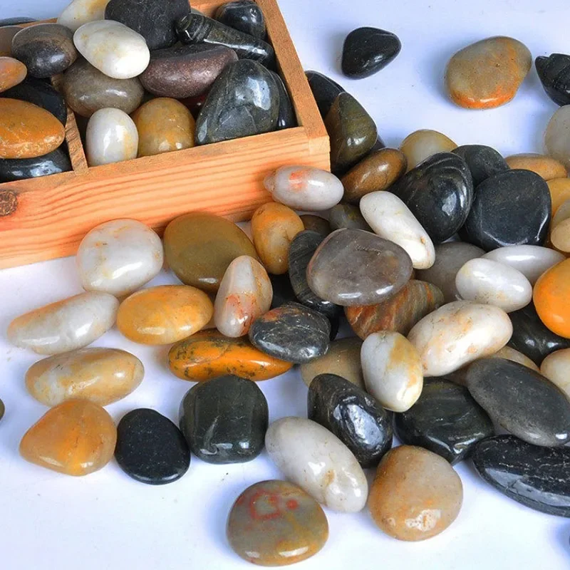 250g 500g natürliches Aquarium – Aquarium Fish Background Bewertung und Preis