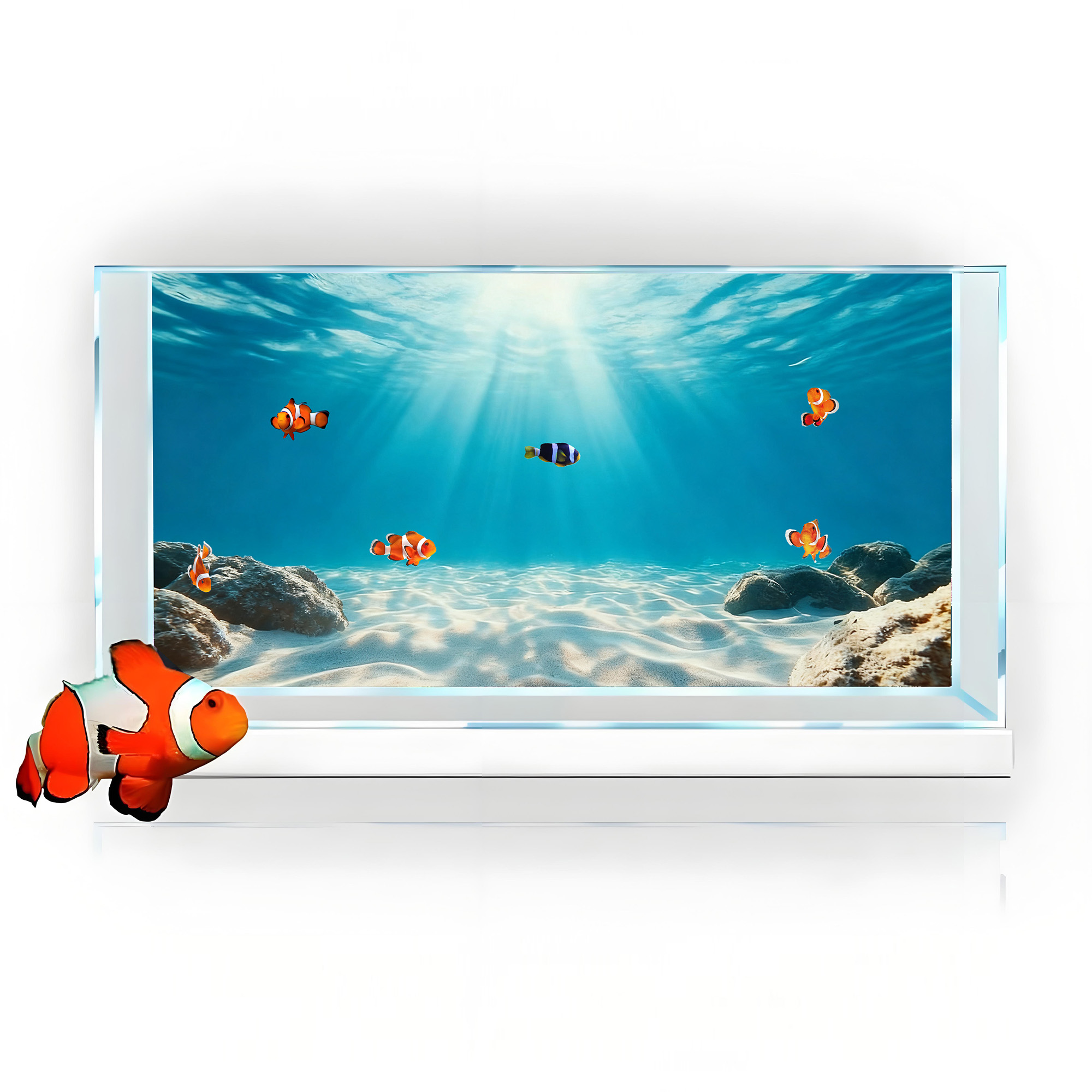 Blaues Meeres-Klarbild-Sandbil – Aquarium Fish Background Bewertung und Preis