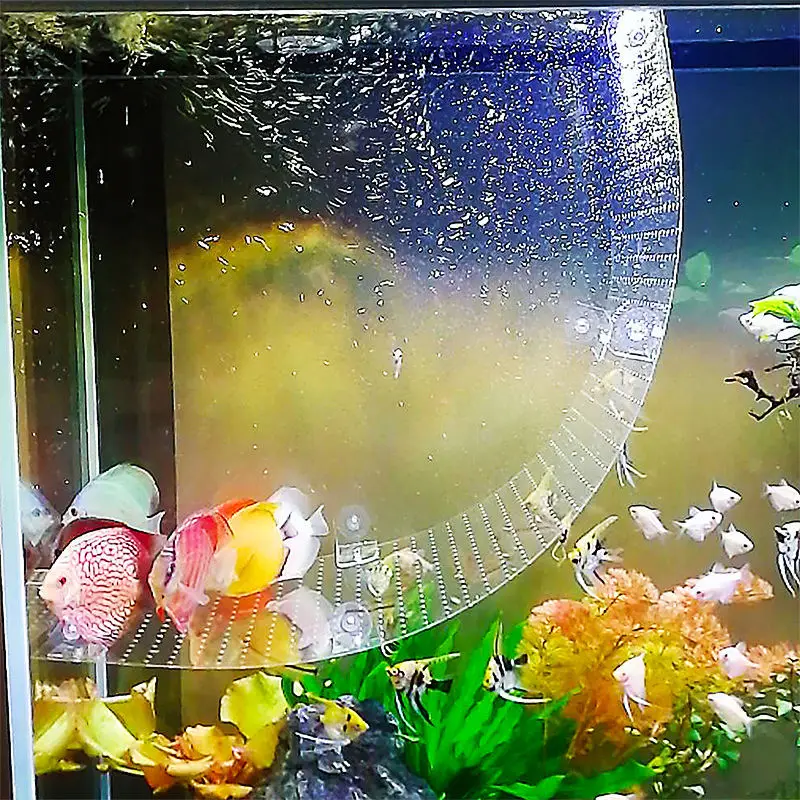 Biegsame Schottverschraubung f – Aquarium Fish Background Bewertung und Preis