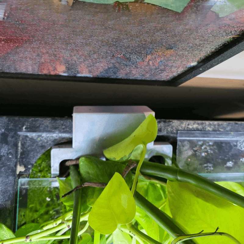 Aquarium-Seitenhalterung für P – Aquarium Fish Enrichment Bewertung und Preis