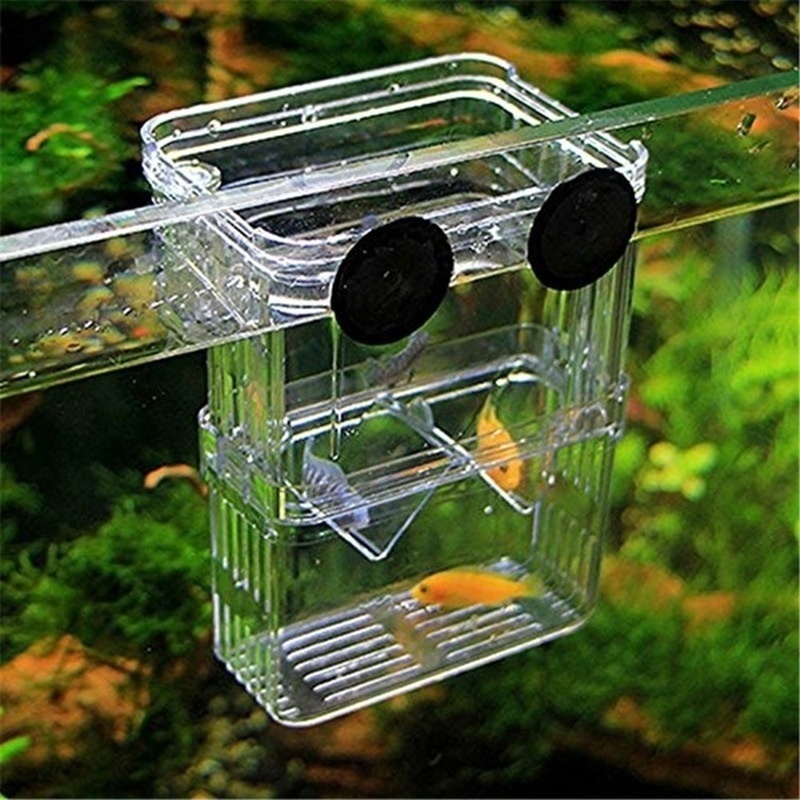Multifunktionale Fisch Aquariu – Aquarium Fish Background Bewertung und Preis