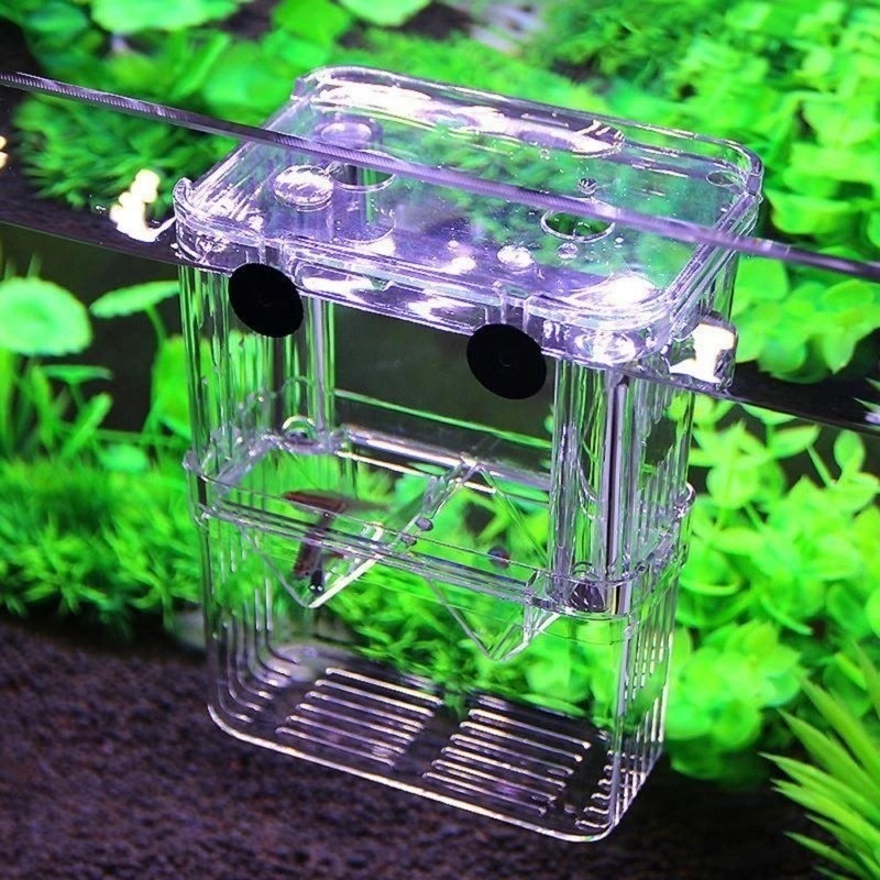 Multifunktionale Fisch Aquariu – Aquarium Fish Background Bewertung und Preis