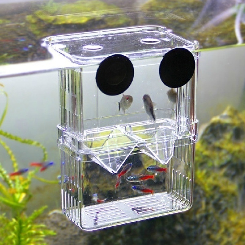 Multifunktionale Fisch Aquariu – Aquarium Fish Background Bewertung und Preis