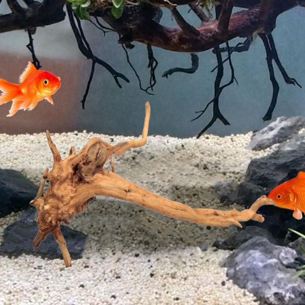 Natürliche Baumstamm Aquarium  – Aquarium Fish Enrichment Bewertung und Preis