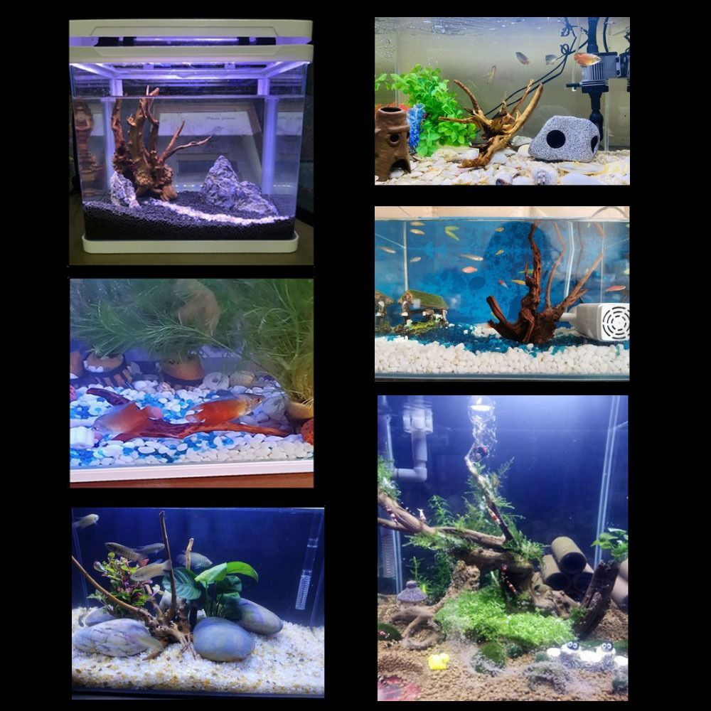 Natürliche Baumstamm Aquarium  – Aquarium Fish Enrichment Bewertung und Preis