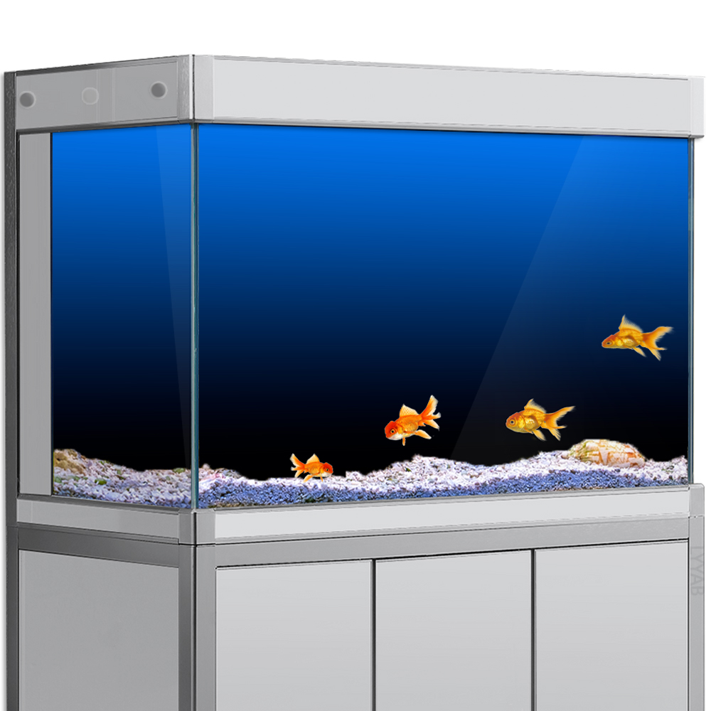 Aquarium Hintergrund Aufkleber – Aquarium Fish Background Bewertung und Preis
