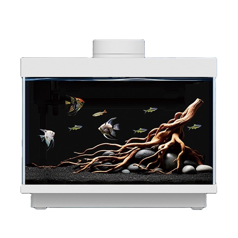 Multifunktionales All-in-One 5 – All Fish In Aquarium Bewertung und Preis
