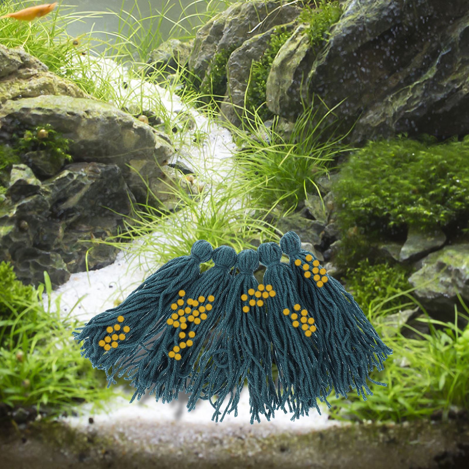5Pcs Brüterei Spawning Mopp Sp – Aquarium Fish Background Bewertung und Preis