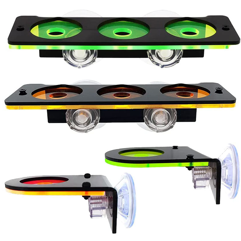 Fluoreszierende Korallen Frag  – Aquarium Fish Enrichment Bewertung und Preis