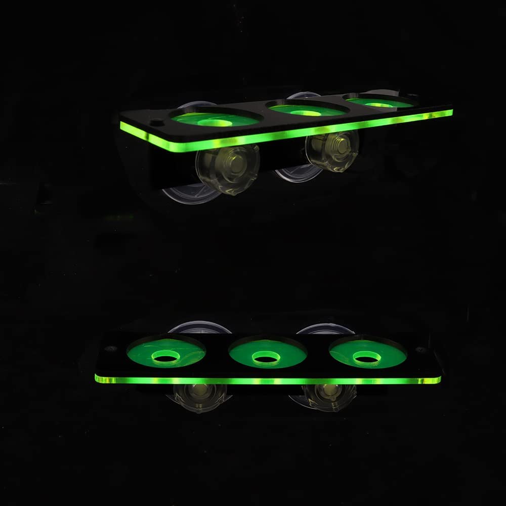Fluoreszierende Korallen Frag  – Aquarium Fish Enrichment Bewertung und Preis