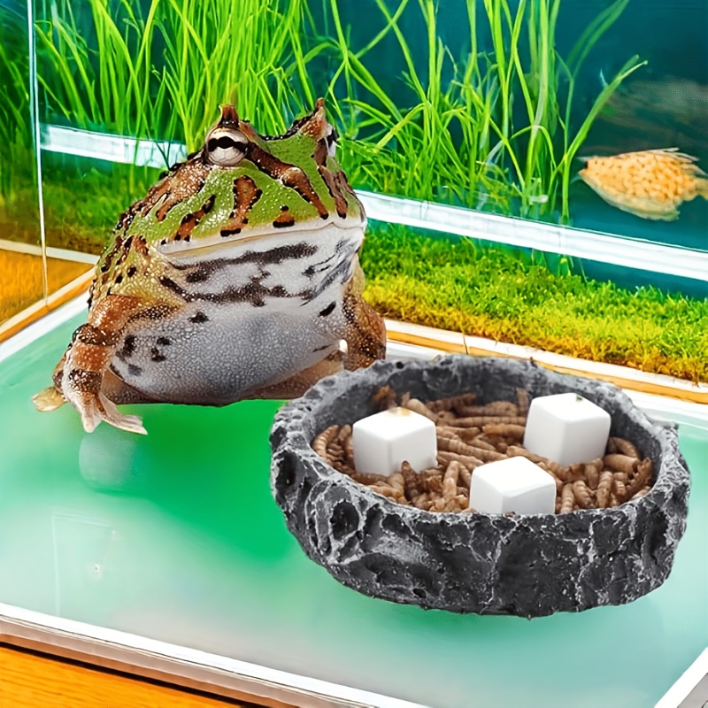 6-teiliger Aquarium-Kalziumblo – Aquarium Fish Background Bewertung und Preis