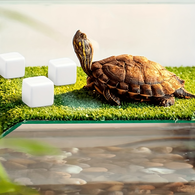 6-teiliger Aquarium-Kalziumblo – Aquarium Fish Background Bewertung und Preis